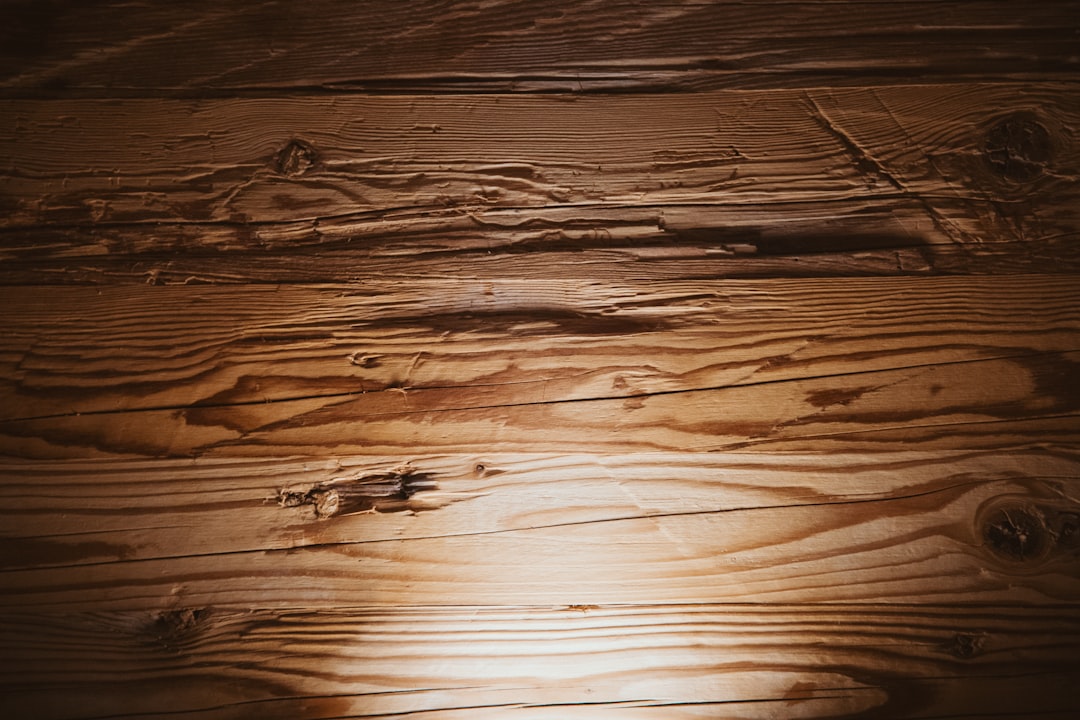 photo 1728839507665 df38067e4320cropentropycstinysrgbfitmaxfmjpgixidM3wxNDA1NTd8MHwxfHNlYXJjaHwzOHx8cGFuZWxzJTIwd29vZGVuJTIwZmxvb3JzfGVufDF8MHx8fDE3NjMzMDkxMzN8MAixlibrb 4.1.0q80w1080